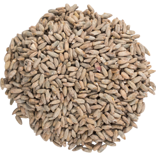 Rye Malt Rye Malt