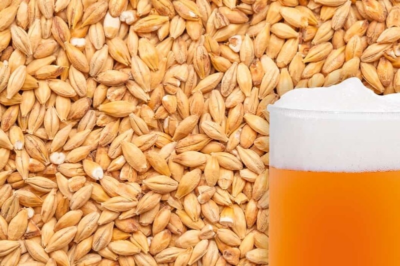 Best Acidulated Malt 100g