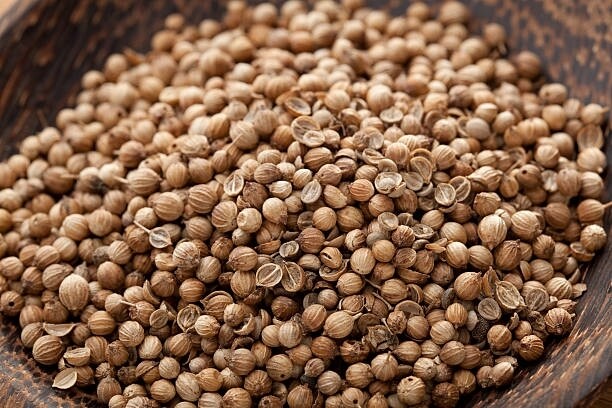 Coriander Whole 100g Botanical