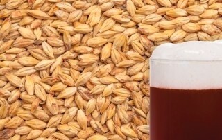Best Melanoidin Malt - 1kg