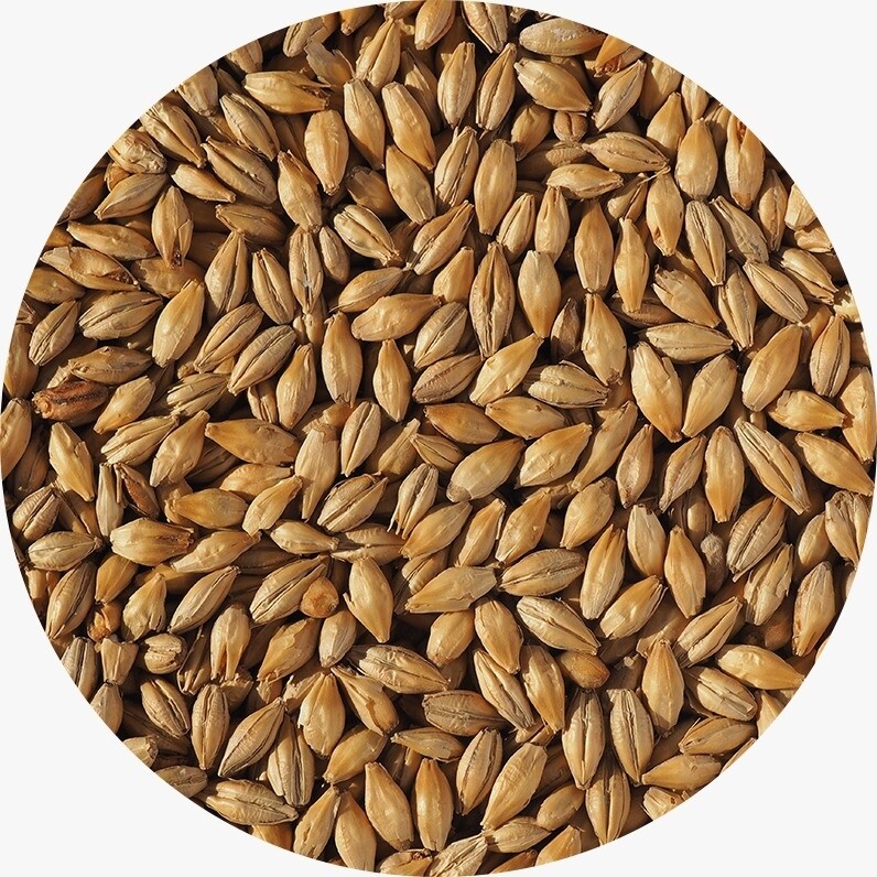 Crisp Dextrin Malt - 1kg