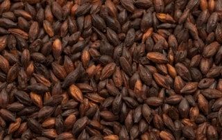 Best Black Extra Malt 1kg