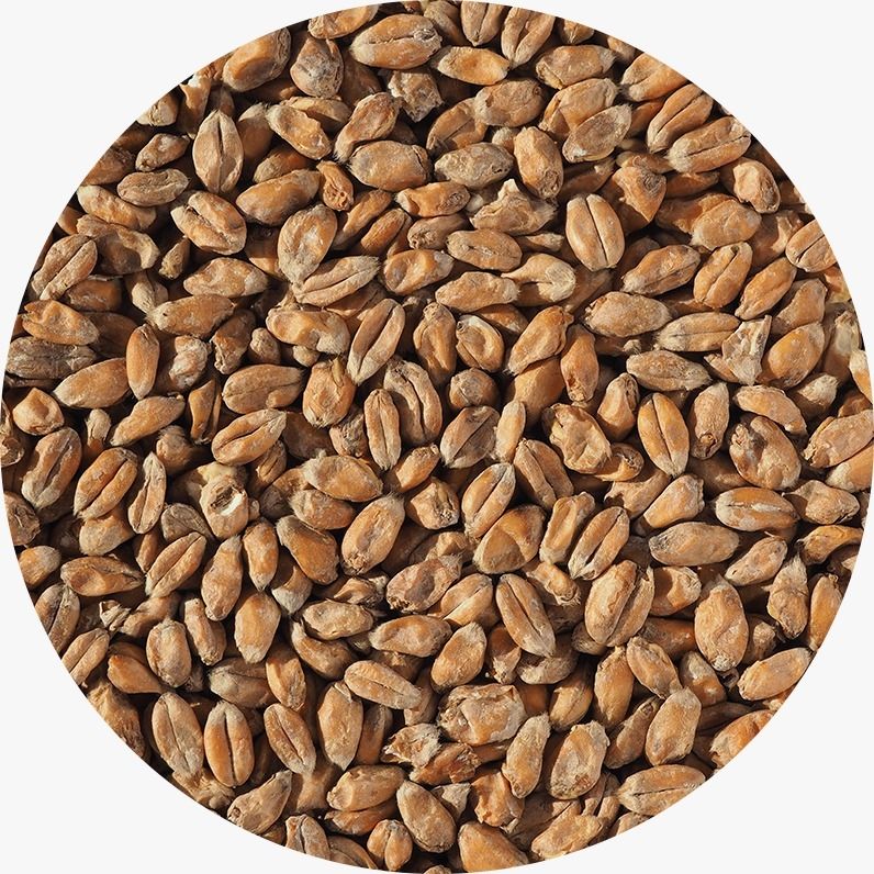 Crisp Wheat Malt 1kg
