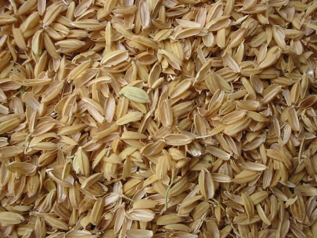 Rice Hulls 500g