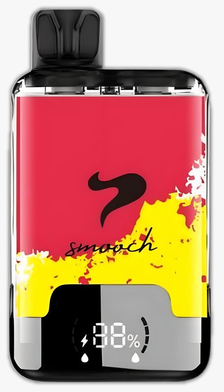 Smooch Dual Vape - Strawberry Watermelon/ Mango Pineapple Flavor, 10 000 puffs, 3% Nic