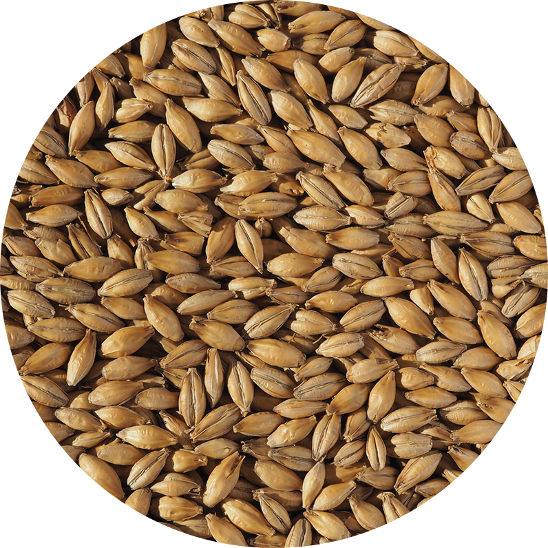 Crisp Extra Pale Ale Malt 1kg