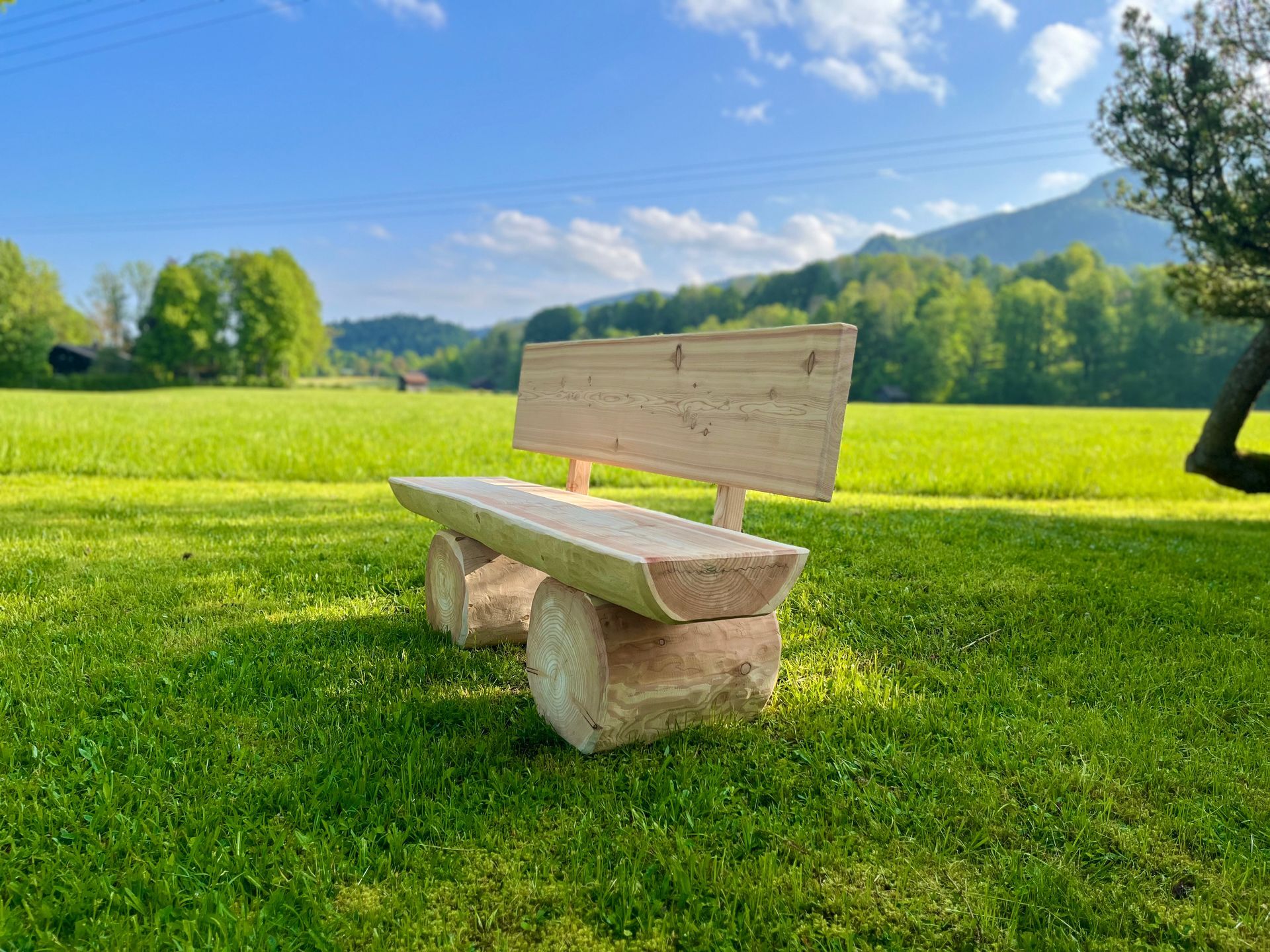 Massive Gartenbank aus Holz mit Lehne