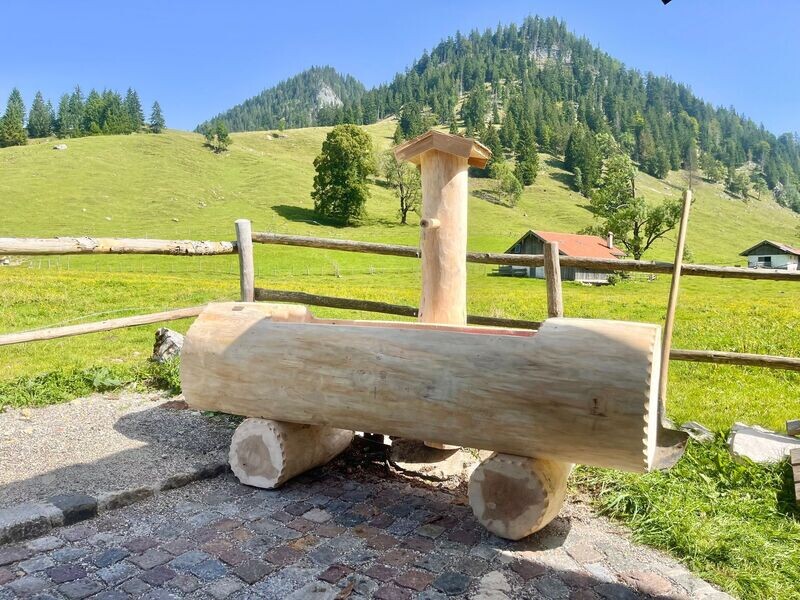 Baumstammbrunnen aus Tannenholz mit Schindeldach