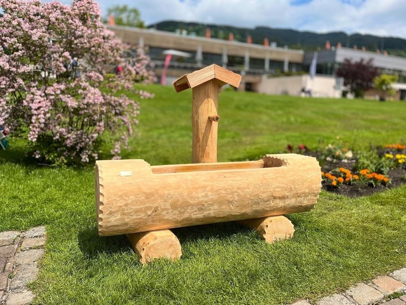 Holzbrunnen kaufen Baumstammbrunnen und Himmelsliegen für Ihren Garten