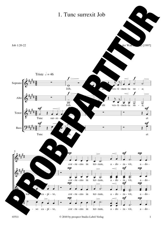 Niel van der Watt: Tunc surrexit Job | Chor SATB (div.) | Partitur | PDF Niel van der Watt: Tunc surrexit Job | Chor SATB (div.) | Partitur | PDF