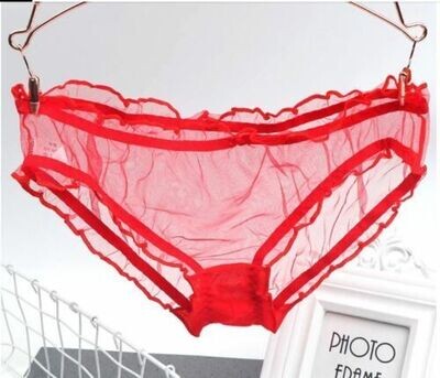 Red Vintage Style Completely Sheer Transparent Nylon Panties Retro look