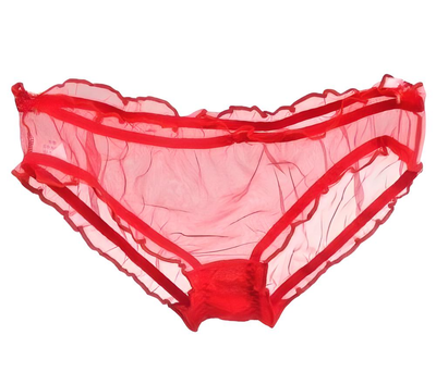 Red Vintage Style Completely Sheer Transparent Nylon Panties Retro look