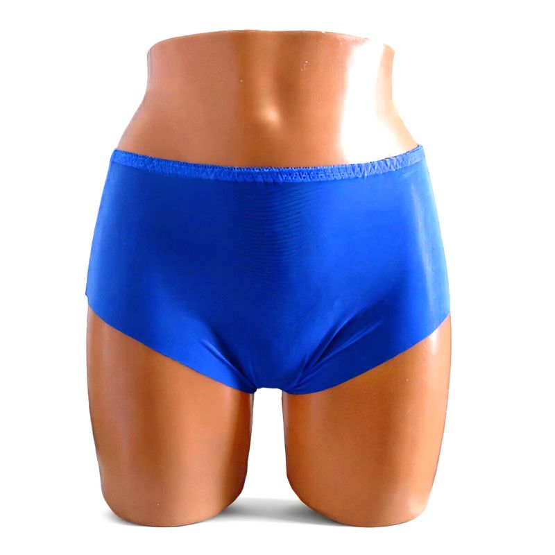 Sheer Transparent Briefs Vintage Retro look NYLON Blue NEW M/L 12/14