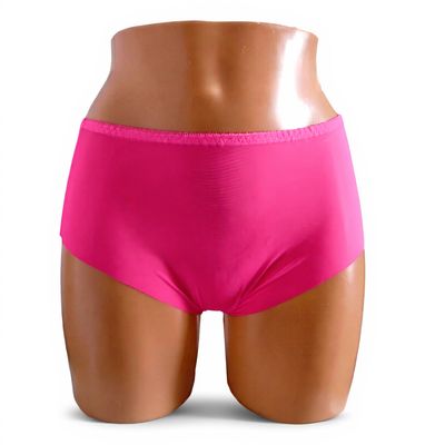 Sheer Transparent Briefs Vintage Retro look NYLON shocking pink NEW M/L 12/14 Sheer Transparent Briefs Vintage Retro look NYLON shocking pink NEW M/L 12/14