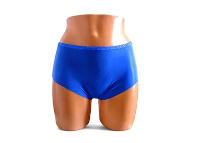 Sheer Transparent Briefs Vintage Retro look NYLON Blue NEW M/L 12/14 Sheer Transparent Briefs Vintage Retro look NYLON Blue NEW M/L 12/14