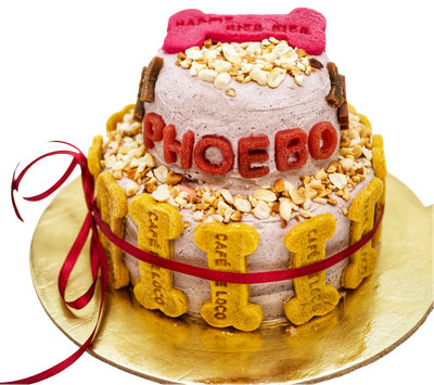 Double Decker Dog Cake