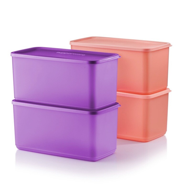 Big Box O Freshness Tupperware- Set Of 4