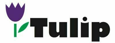 Tulip Online