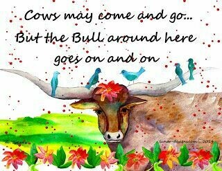 Lunar Designs Bull