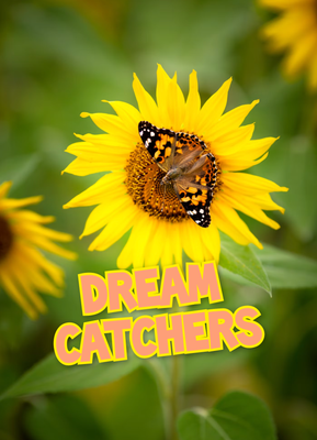 DREAM CATCHERS