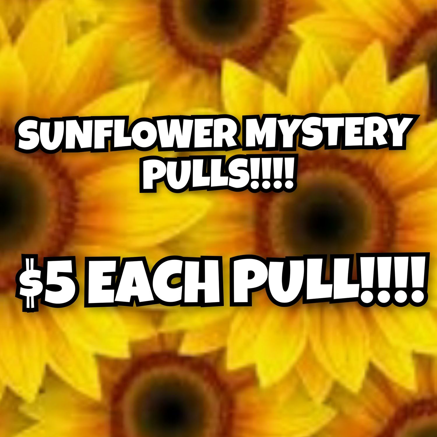 SUNFLOWER MYSTERY PULLS