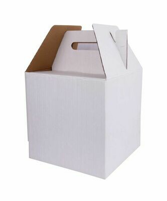 12x12x12 Tall Box with Handle
