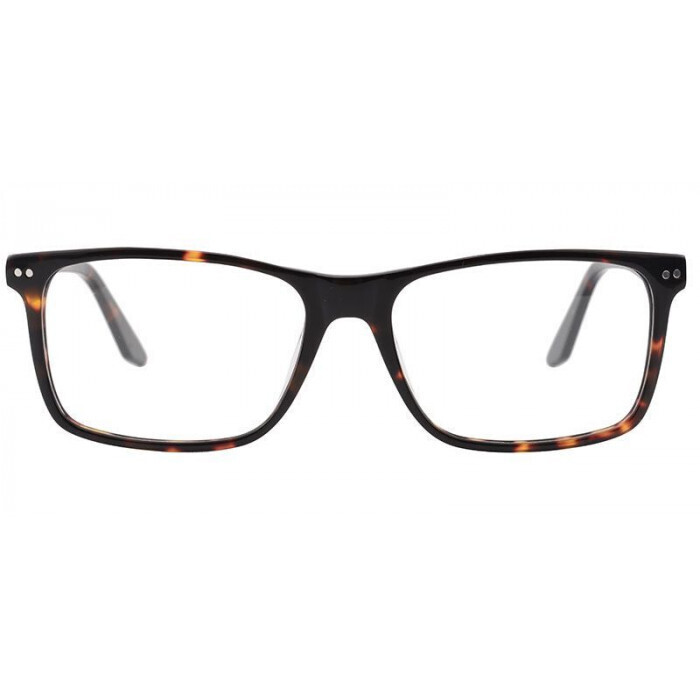 URBAN 67 Dark Tort Glasses