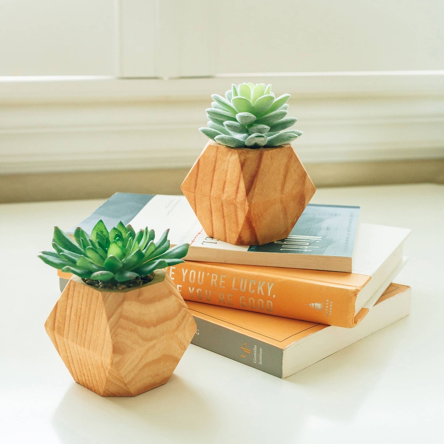 Artificial Succulent in Wood Cube - Natural
