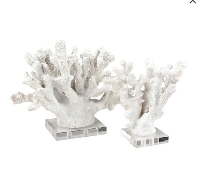 Coral Sculptures