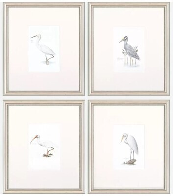 Framed Egrets