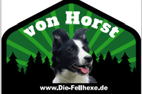 THP-von-Horst-