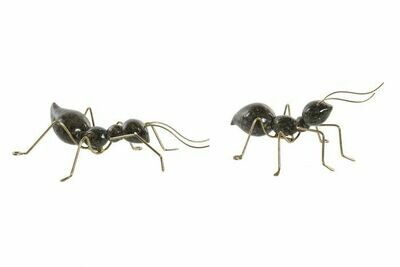 Hormigas decorativas