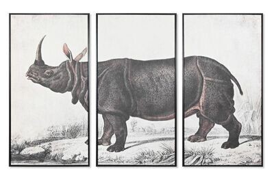 Tríptico rinoceronte 029