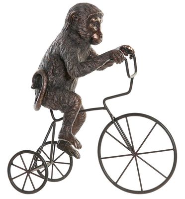 Mono en Bicicleta