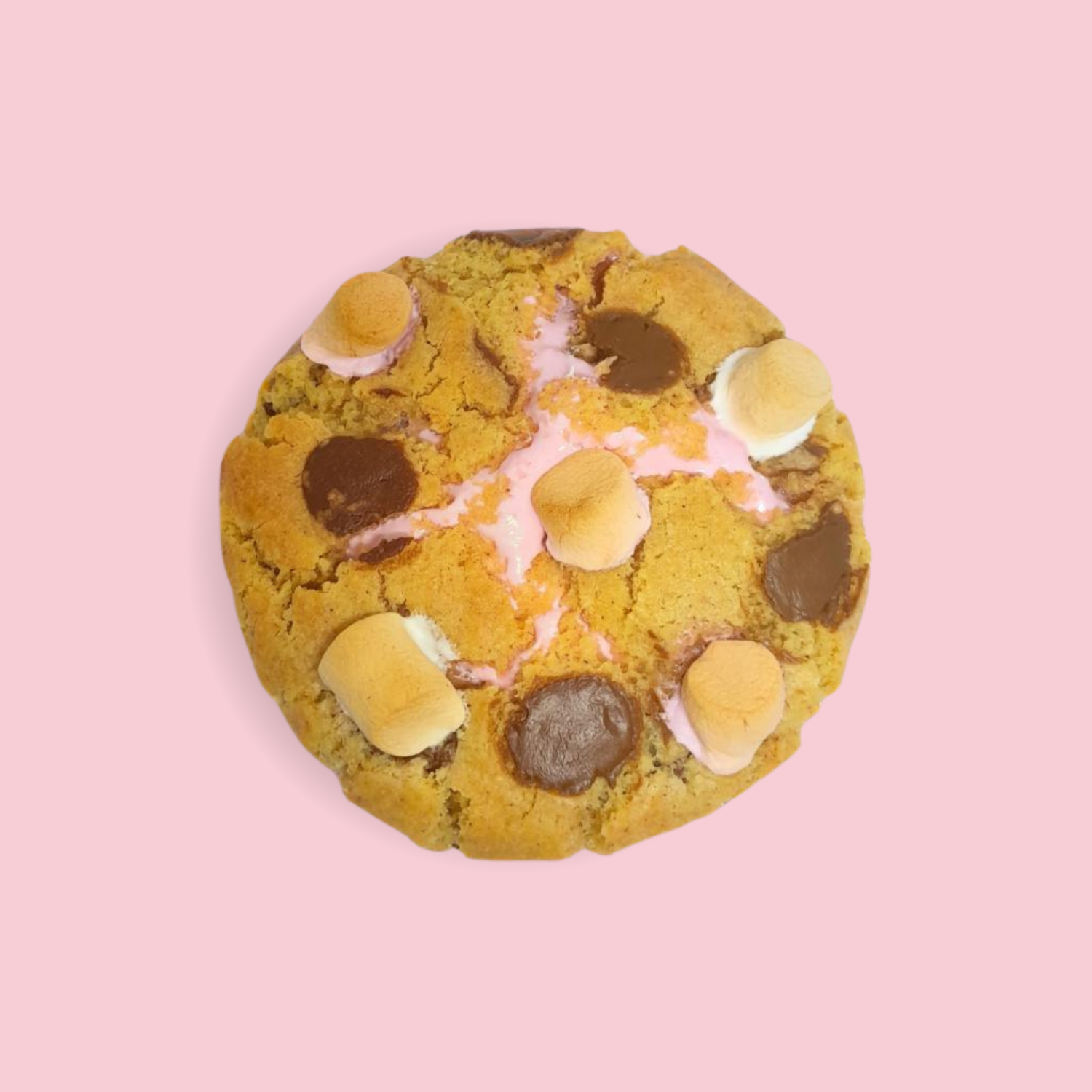 S&#39;mores Stuffed Cookie