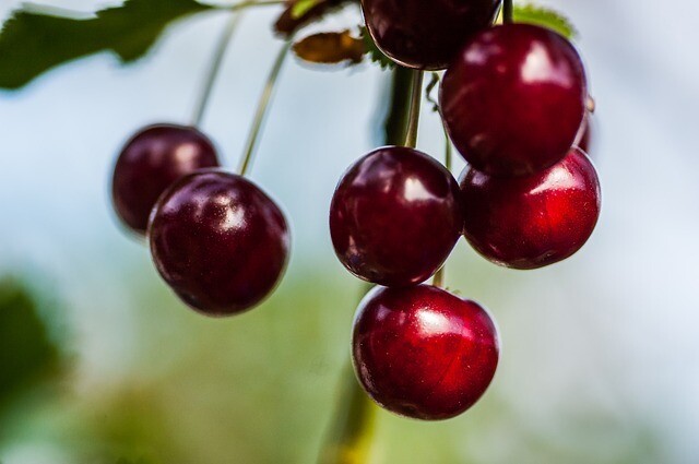Black Cherry