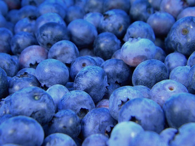 Wild Blueberry