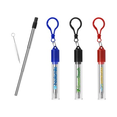 STAINLESS REUSABLE DRINKING STRAW WITH CASE - FULL COLOR