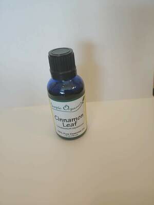 Wild + Rooted EO Cinnamon Leaf 1oz