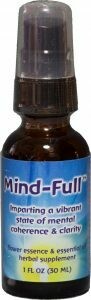 FES Mind-Full 1oz