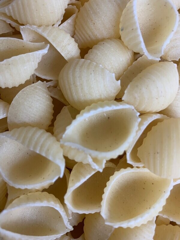 Muscheln