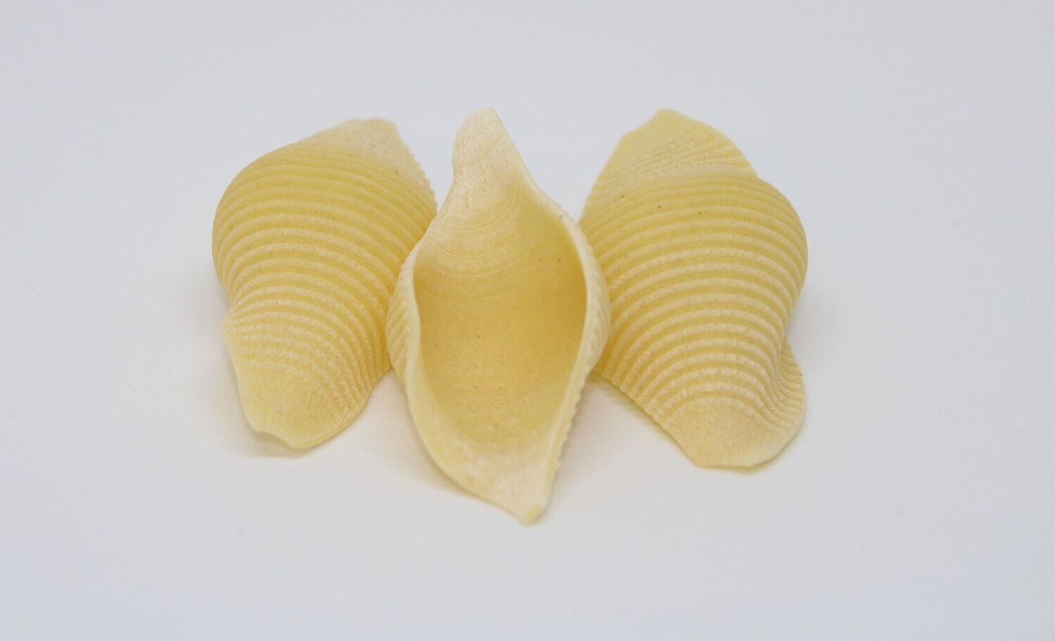 Muscheln Grande - Tolle Nudel zum füllen!