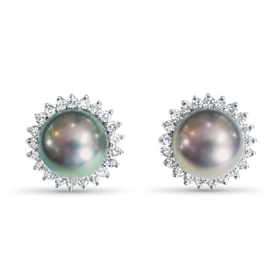 Earrings in 18k White Gold with a 7.9mm Tahiti Pearl &amp; .45ct Diamonds