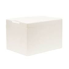 Foam Esky Medium - Empty (Dry Ice Capacity 10Kg)