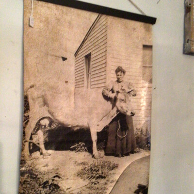 Vintage Cow/Woman Picture On Canvas