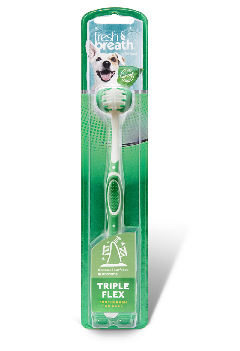 healthy snouts toothbrush