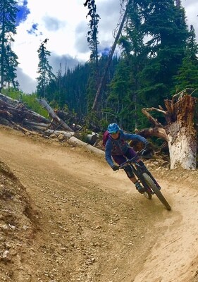 flow mountain bike