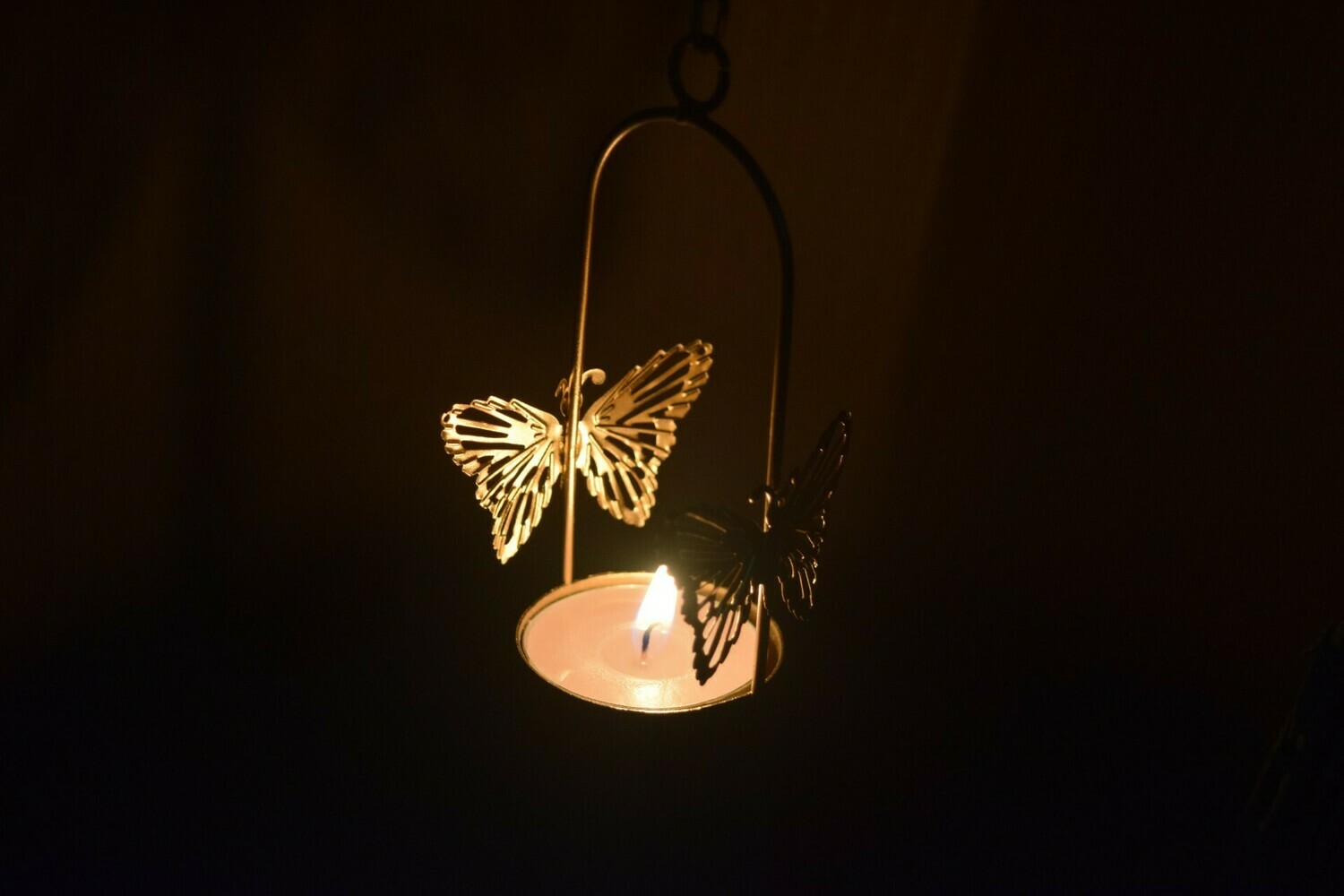 Butterfly T lights