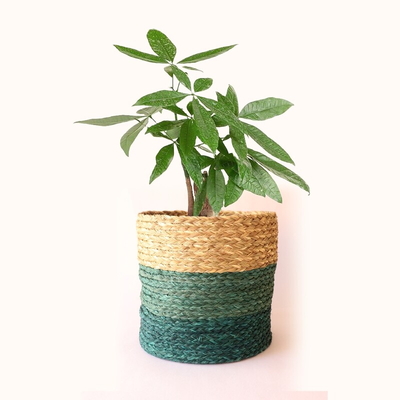 Sabai Planter
