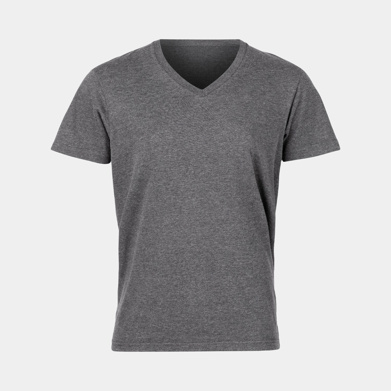 Men's Regular Fit  V-Neck T-shirt